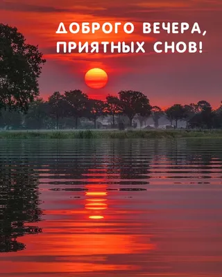 Доброго вечера и всем друзьям Спокойной ночи! Новые картинки Спокойной  ночи! Сладких снов! - Пожелание Спокойной ночи в картинках … | Ночь,  Спокойной ночи, Открытки