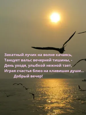 Идеи на тему «Доброго вечера, доброй ночи.» (420) | ночь, спокойной ночи,  открытки