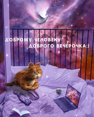 Картинки добрый вечер хорошего отдыха - 79 фото