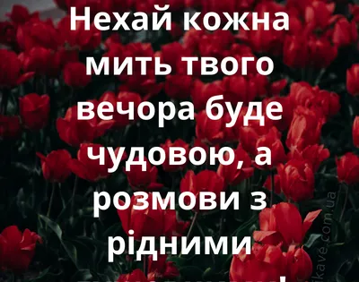 Знак на авто "ДОБРОГО ВЕЧОРА МИ З УКРАЇНИ" (ПРАПОР+ГЕРБ) на присосці –  фото, отзывы, характеристики в интернет-магазине ROZETKA от продавца:  ТреЖел | Купить в Украине: Киеве, Харькове, Днепре, Одессе, Запорожье,  Львове