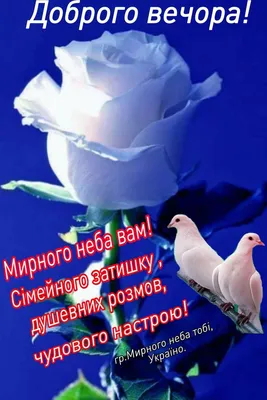 Доброго вечора 🌸 | Good night sweet dreams, Good night, Night