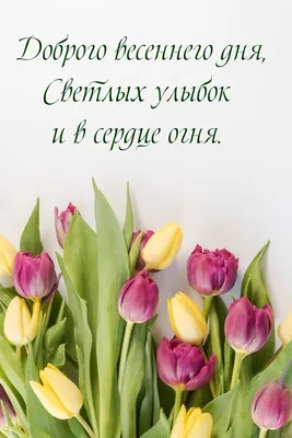 Картинки с надписями. Доброго весеннего дня, светлых улыбок и в сердце  огня..