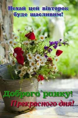 Pin by Svetlana Petrova on доброго ранку | Plants