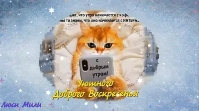 Идеи на тему «Доброе утро воскресенья» (340) | утро воскресенья, доброе  утро, воскресенье