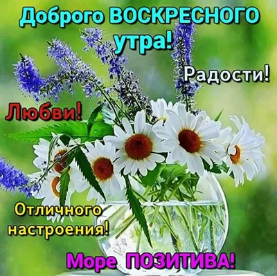 Чашка кофе в воскресное утро! | Доброе утро, Друзья стихи, Утро воскресенья