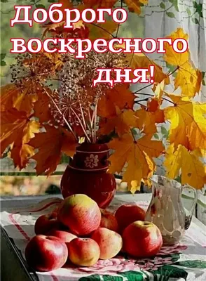 Всем доброго воскресного утра, хорошего настроения, здоровья и всех благ!