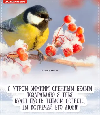 Прикольная открытка "Доброго зимнего утра!" с синичкой на ветке рябины •  Аудио от Путина, голосовые, музыкальные
