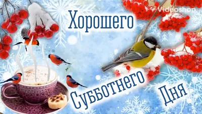 Картинки "Хорошего зимнего дня!" (391 шт.)