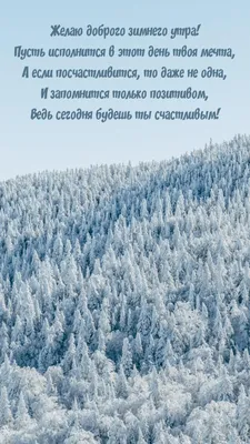 Позитивные зимние картинки "Доброе утро!" (743 шт.)