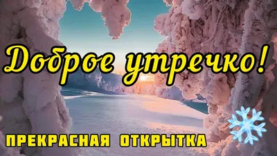 Идеи на тему «Зимнее доброе утро» (100) | доброе утро, открытки, зимние  картинки