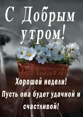 Доброе утро хорошей недели! Пожелания удачной недели. | Доброе утро, Утро  четверга, Картинки