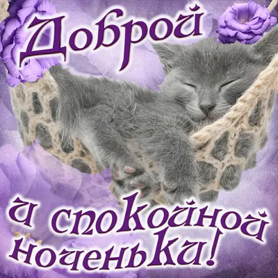 Летние открытки "Спокойной ночи!" (262 шт.)