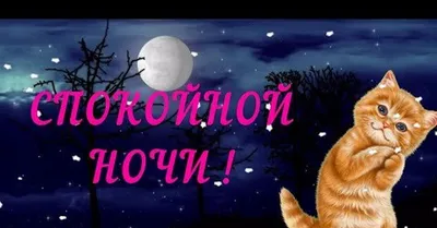 Картинки "Спокойной ночи!" (626 шт.)