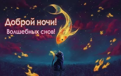 Доброй ночи, друзья! - YouTube