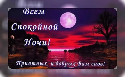 Доброй ночи друзья красивые необычные картинки (43 фото) » Юмор, позитив и  много смешных картинок