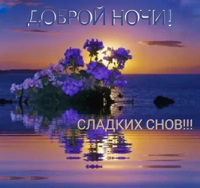 Картинки "Спокойной ночи!" (2829 шт.)