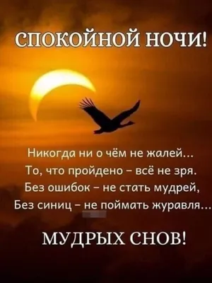 Пожелания спокойной ночи — картинки на украинском, стихи, проза, любимым и  друзьям — Украина