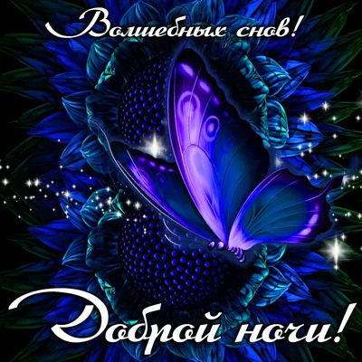 ДОБРЫЙ ВЕЧЕР! СПОКОЙНОЙ НОЧИ!💌⭐🌙КРАСИВАЯ МУЗЫКАЛЬНАЯ ОТКРЫТКА С  ПОЖЕЛАНИЕМ СПОКОЙНОЙ НОЧИ! 💎 - YouTube