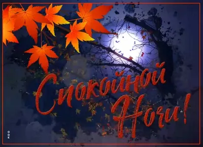 Спокойной ночи!