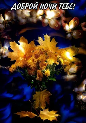Пожелания доброй осенней ночи (39 фото) » Красивые картинки, поздравления и  пожелания - 