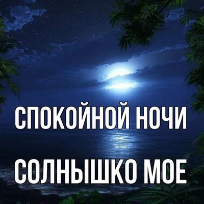 Анимация сладких снов, стихи, надписи, пожелания на ночь скачать онлайн  бесплатно! скачать бесплатно | Ночь, Спокойной ночи, Открытки