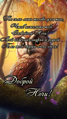 Картинки "Спокойной ночи!" для любимой (185 шт.)