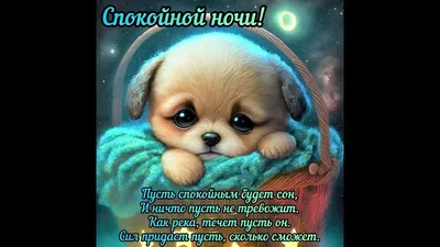 Спокойной ночи 🌙 Приятных и нежных снов 🦋🦋🦋 - YouTube