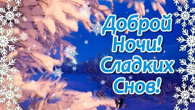 Доброй Ночи Сладких Снов! | Мультяшные Поздравления | Дзен