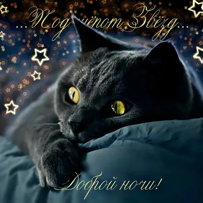 Доброй ночи! Сладких снов! - Музыкальная открытка для друзей! - YouTube