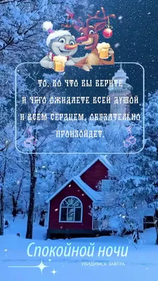 Доброй ночи, всем Namaste 🙏 Цветы в любое время года дарят тепло и  радость. Но зимой они особенно важны, так как за окном зима, а… | Instagram