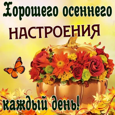 Доброй осенней Пятницы Вам! 🌞✨🍁🤗🍂✨ | Смешные открытки, Доброе утро,  Милые открытки