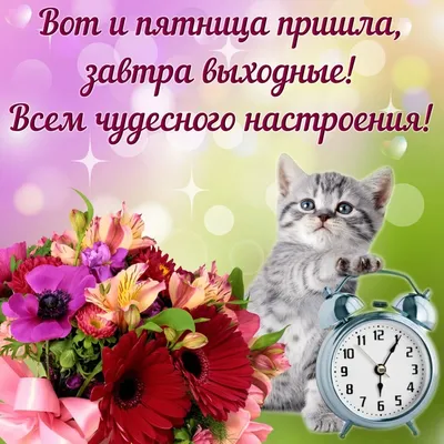 Доброй весенней Пятницы! 🌷🌷🌷 | Доброе утро, Пора пить кофе, Праздничные  открытки