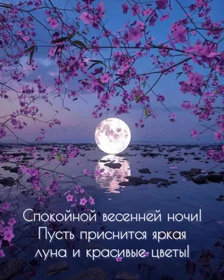 Пин от пользователя Elena Belinskaya на доске Доброй ночи | Ночь, Спокойной  ночи, Сладкие сны
