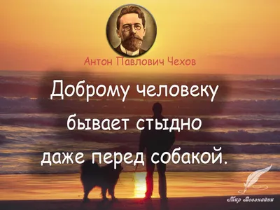 Психологические афоризмы и цитаты о человеке