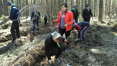 Подобные «добрые дела» лицемерны по своей природе, благословений нет  вообще, так что делайте меньше- 禁 闻 网