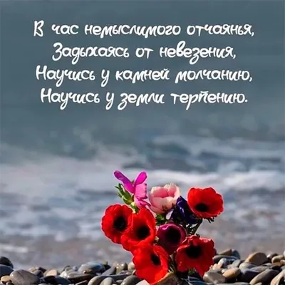 Какие 4 составляющие сделают вашу жизнь прекраснее? - Красивая цитата Генри  Лонгфелло | Мудрая Тереза | Дзен