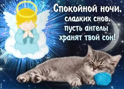 Спокойной ночи, добрых снов!!!