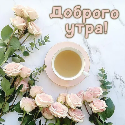 🌸Наталия🌸 (@SobstvennoyP) / Twitter