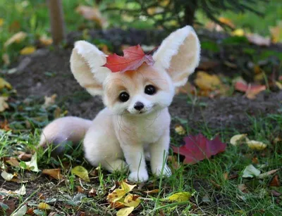 10/30/50 шт. забавные милые животные кошка собака мем наклейки наклейка  скейтборд ноутбук телефон автомобиль мотоцикл водостойкая шутка наклейка  детская игрушка | AliExpress