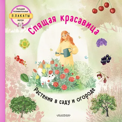 Лучшие Добрые Сказки на Ночь `Спящая Красавица` Детские Книги для  Дошкольников — Купить на  ᐉ Удобная Доставка (1797502682)