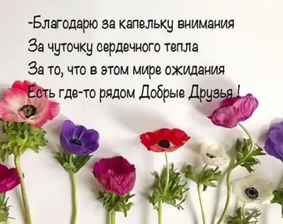 Идеи на тему «Открытки со смыслом» (580) | открытки, мультипликационные  кошки, доброе утро