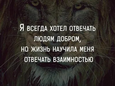 Статусы со смыслом о жизни и о людях: подборка для социальных сетей