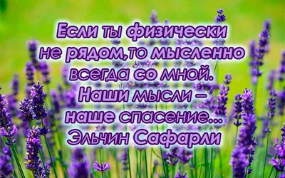 Олды, кто помнит старые добрые статусы во ВКонтакте? Одноклассники  запустили… | Про продвижение артистов и музыки / The Voice PR | Дзен