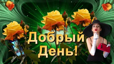 Гифки "Добрый вечер" очень красивые. Подборка gif анимаций