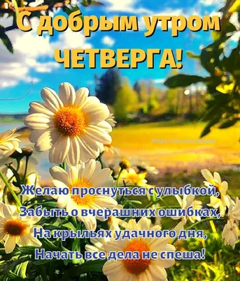 Здравствуй четверг доброе утро картинки (41 фото) » Красивые картинки,  поздравления и пожелания - 