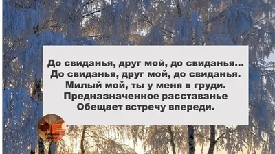 Кто написал эти щемящие душу строки? Прощается, обещая встречу? В каком  году написано? Случилась ли встреча? Стихи, написанные кровью | Русский  язык и литература. Клуб знатоков | Дзен