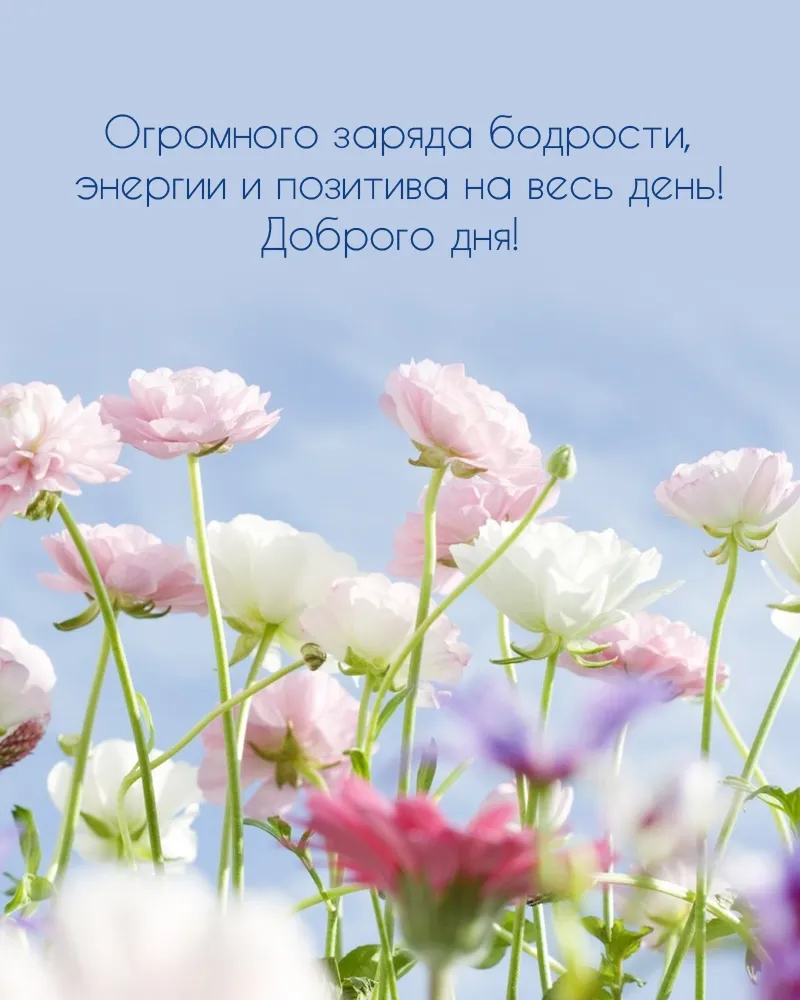 Нежн. Пастельные цветы. Цветы светлые. Нежный цветок. Цветы в пастельных тонах.