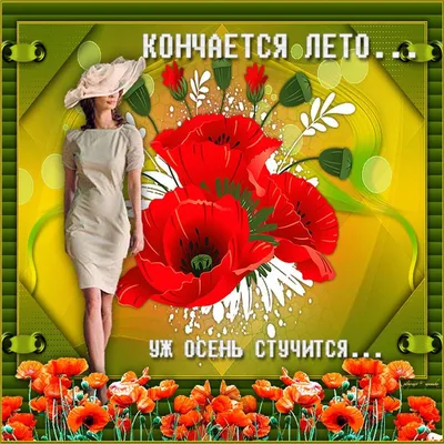 Картинки "Хорошего летнего дня!" (203 шт.)