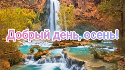 Добрый день картинки позитивные с пожеланиями весенние - 70 фото