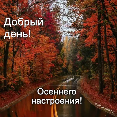 День/Осень/Природа/Утро в 2023 г | Летние фотографии природы, Летние  фотографии, Фотографии